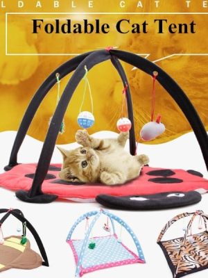 Comfortable Foldable Playing Cat Tent