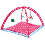 Comfortable Foldable Playing Cat Tent
