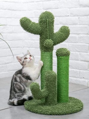 Cat Scratcher Cactus Tree