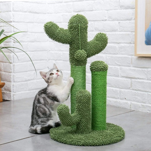 Cat Scratcher Cactus Tree