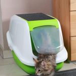 Filter Deodorant For Cat Litter Box