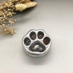 Cat Paw Garden Flower Pots