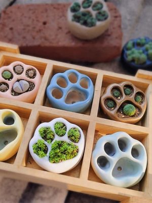 Cat Paw Garden Flower Pots