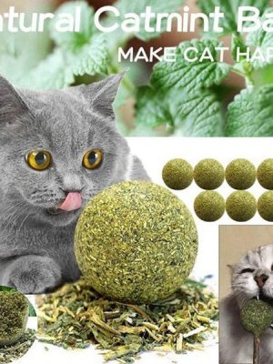 Cat Care Catnip Balls Treats