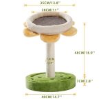 Cat Scratcher Cactus Tree