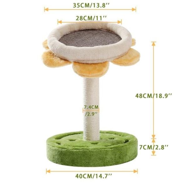 Cat Scratcher Cactus Tree
