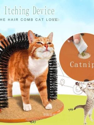 Cat Comfortable Arch Home Comb