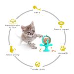 Rotating Wheel Cat Treat Dispenser
