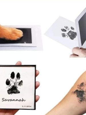 Non-toxic Kitten Paw Prints Inkless Kit