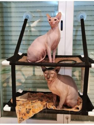 Single/Double Cat Window Mesh Bed
