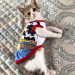 Cat Daily Wear Summery Vest