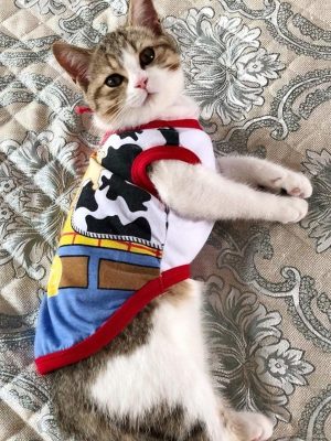 Cat Daily Wear Summery Vest