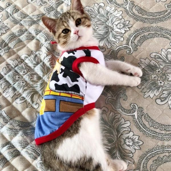 Cat Daily Wear Summery Vest
