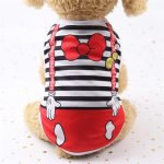Cat Daily Wear Summery Vest