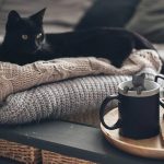 Reusable Creative Cat Tea Strainer