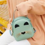 Crossbody & Clutch Whiskers Cat Bag