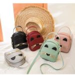 Crossbody & Clutch Whiskers Cat Bag