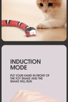 Smart Interactive Snake Cat Toy
