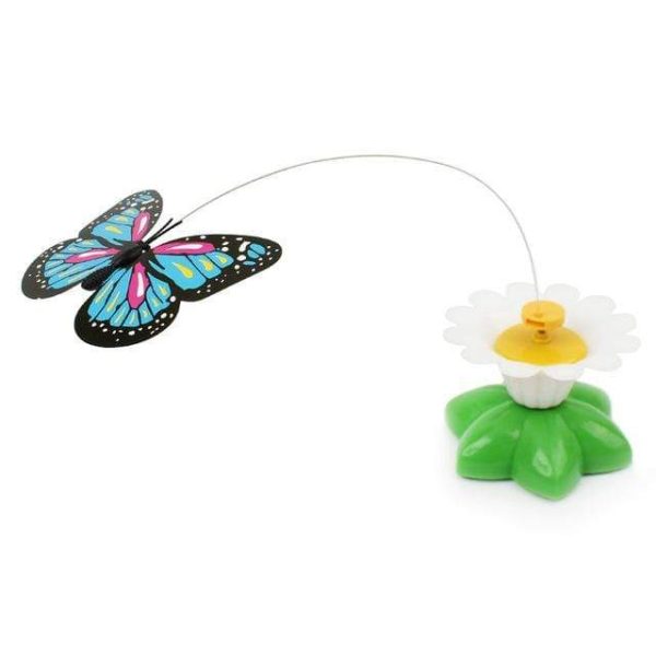 Butterfly & Bird Training Cat Toy
