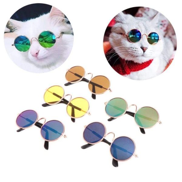 Fun Kitty Sunglasses