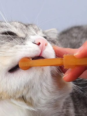 silicone_double-sided_cat_toothbrush_kit