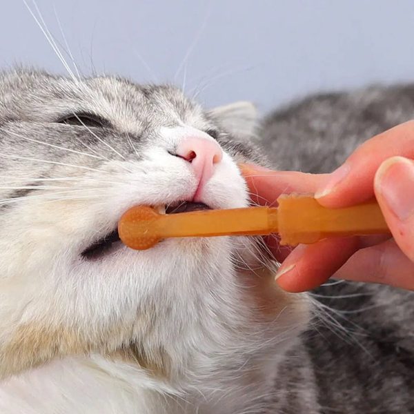 Flexi Cat Toothbrush Kit